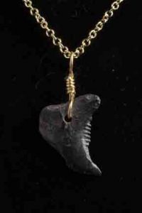 Ocean Sands Jewelry : Necklace - Shark Tooth ST2.0-18G