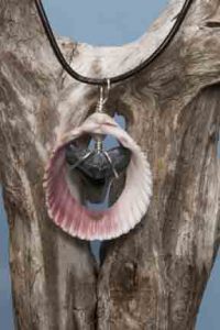 Ocean Sands Jewelry : Necklace - Shark Tooth ST1.4-SP1.5-1PE7-22L
