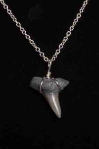 Ocean Sands Jewelry : Necklace - Shark Tooth ST1.5-18S