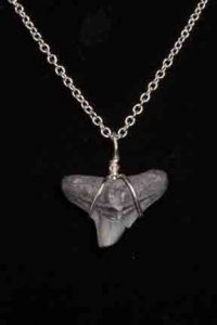 Ocean Sands Jewelry : Necklace - Shark Tooth ST1.8-18S-1