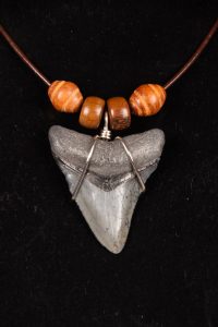 Necklace - Megalodon Tooth