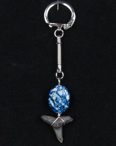 st01.7-mibl2.5-kc2.5-s-jewelry-keychain-shark-tooth-6450 Ocean Sands Jewelry : bracelets MB3.2-9S-QU1