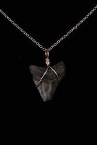 Ocean Sands Jewelry : Necklace - Megalodon Tooth ME06.4-S18