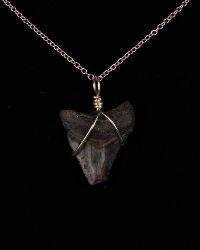 Ocean Sands Jewelry : Necklace - Megalodon Tooth ME06.4-S18