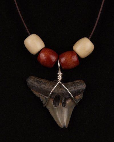 Ocean Sands Jewelry - Prehistoric shark tooth necklace.