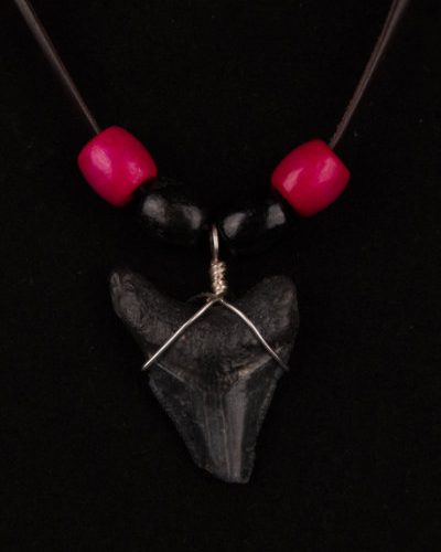 Ocean Sands Jewelry : Necklace - Megalodon Tooth ME07.4-LBR42-WBFM4