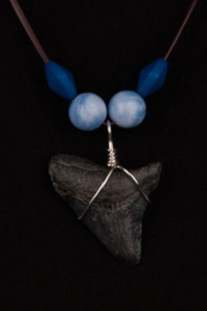 Ocean Sands Jewelry : Necklace - Megalodon Tooth ME11.7-LBR42-MIBL4