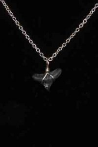 Ocean Sands Jewelry : Necklace - Shark Tooth ST0.7-18S