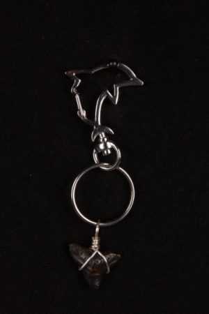 Ocean Sands - Prehistoric shark tooth key chain.