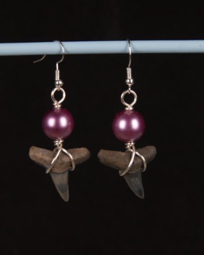 ST01.4X2-SFH-BGPU2-earrings-shark-tooth-6557 Ocean Sands - Prehistoric shark tooth earrings.