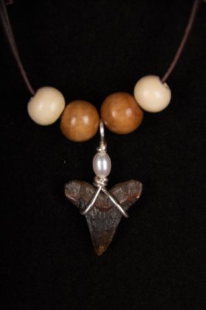 Ocean Sands Jewelry : Necklace - Shark Tooth ST01.5-LBR42-WBS4-P71
