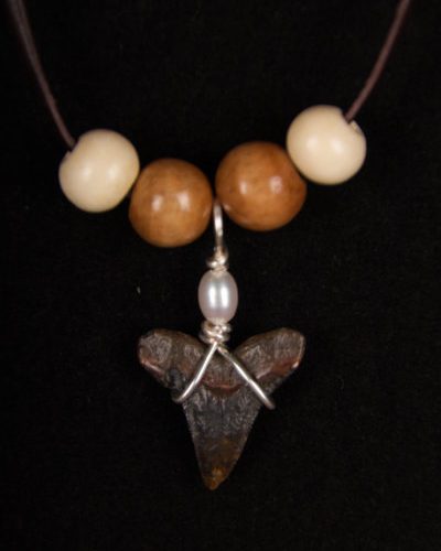 Ocean Sands Jewelry : Necklace - Shark Tooth ST01.5-LBR42-WBS4-P71