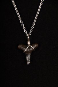 Ocean Sands Jewelry : Necklace - Shark Tooth ST01.5-S18-1