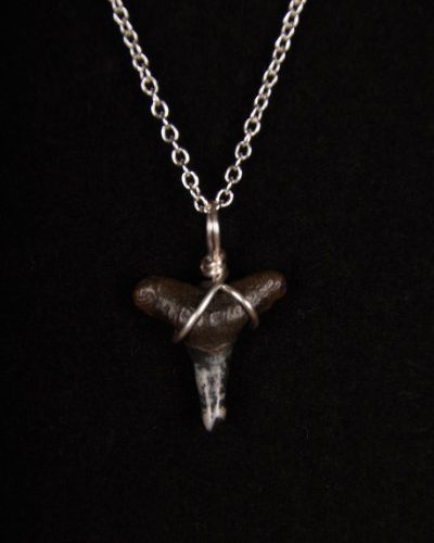 Ocean Sands Jewelry : Necklace - Shark Tooth ST01.5-S18-1