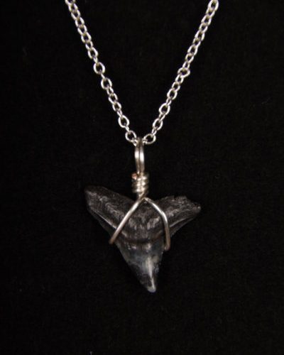 Ocean Sands Jewelry : Necklace - Shark Tooth ST01.5-S18-2