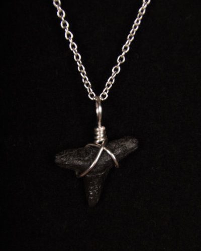 Ocean Sands Jewelry : Necklace - Shark Tooth ST01.5-S18