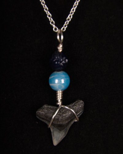 Ocean Sands Jewelry : Necklace - Shark Tooth ST01.5-S20-MIBL2