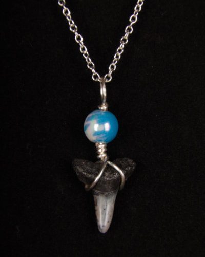 ST01.5-S8-MIBL1-bracelet-shark-tooth-6636 Ocean Sands Jewelry : Bracelets ST01.5-S8-MIBL1