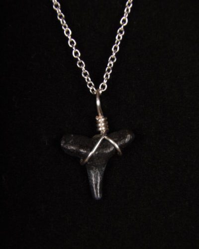 ST01.5-S9-BRACELET-SHARK-TOOTH-6635 Ocean Sands Jewelry : Bracelets ST01.5-S9