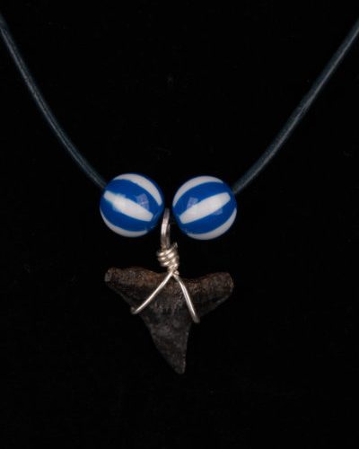 Ocean Sands Jewelry : Necklace - Shark Tooth ST01.6-LBL42-MIBL2