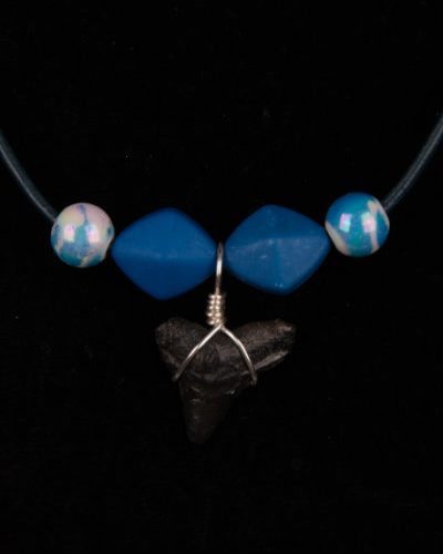 Ocean Sands Jewelry : Necklace - Shark Tooth ST01.6-LBL42-MIBL4