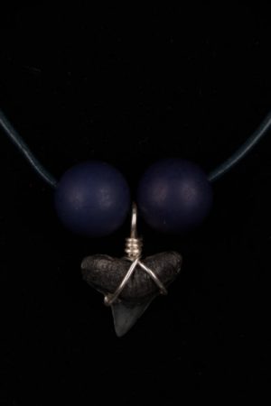Ocean Sands Jewelry : Necklace - Shark Tooth ST01.6-LBL42-WBMI2