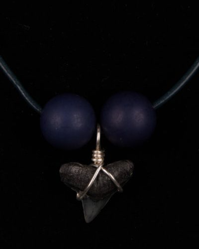 Ocean Sands Jewelry : Necklace - Shark Tooth ST01.6-LBL42-WBMI2