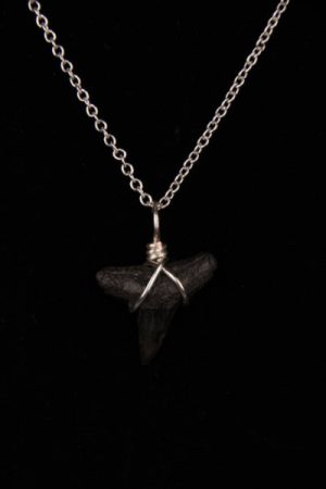 Ocean Sands Jewelry : Necklace - Shark Tooth ST01.6-S18-1