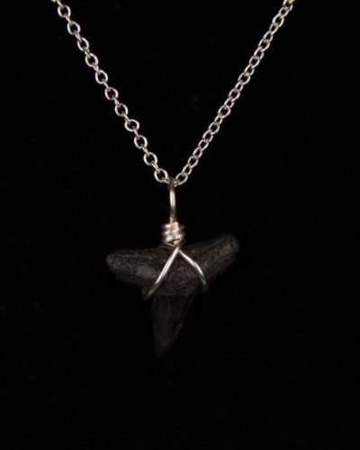 Ocean Sands Jewelry : Necklace - Shark Tooth ST01.6-S18-1