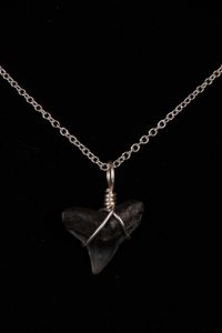 Ocean Sands Jewelry : Necklace - Shark Tooth ST01.6-S18-2