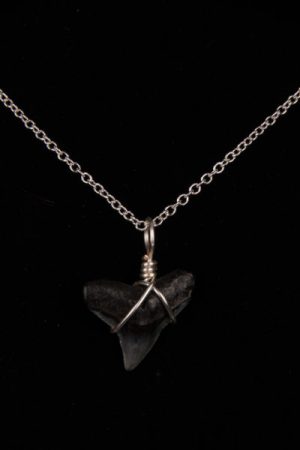 Ocean Sands Jewelry : Necklace - Shark Tooth ST01.6-S18-2