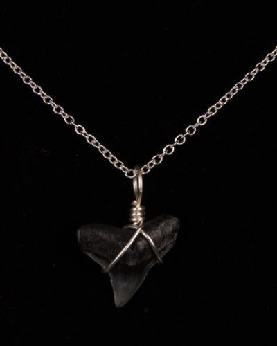 Ocean Sands Jewelry : Necklace - Shark Tooth ST01.6-S18-2
