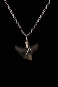 Ocean Sands Jewelry : Necklace - Shark Tooth ST01.6-S18