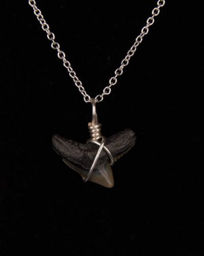 Ocean Sands Jewelry : Necklace - Shark Tooth ST01.6-S18