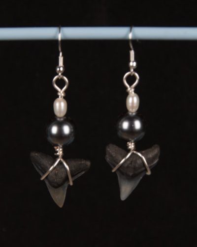 ST01.6X2-SFH-GBHE2-PE7MM2-earrings-shark-tooth-6556 Ocean Sands Jewelry : Earrings ST01.6X2-SFH-GBHE2-PE7MM2