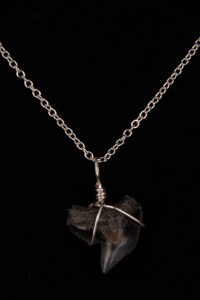 Ocean Sands Jewelry : Necklace - Shark Tooth ST01.7-S18