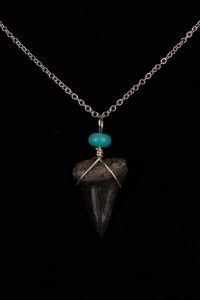 Ocean Sands Jewelry : Necklace - Shark Tooth ST02.6-S18-TU81