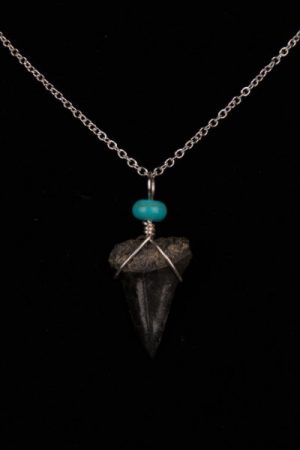 Ocean Sands Jewelry : Necklace - Shark Tooth ST02.6-S18-TU81