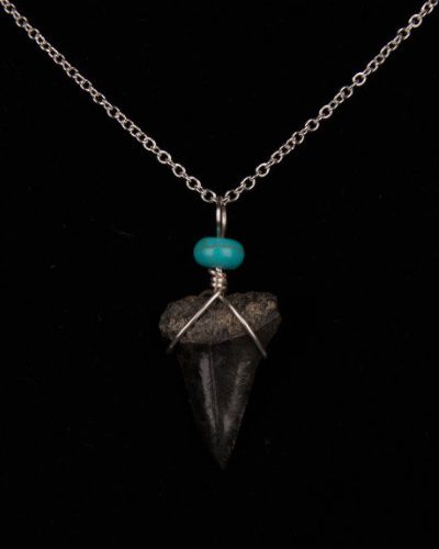 Ocean Sands Jewelry : Necklace - Shark Tooth ST02.6-S18-TU81