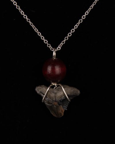 ST02.6-S20-WBL-necklace-shark-tooth-6527 Ocean Sands Jewelry : Necklace - Shark Tooth ST02.6-S20-WBL