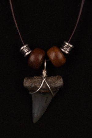 Ocean Sands Jewelry : Necklace - Shark Tooth ST05.6-LBR42-M162-P862