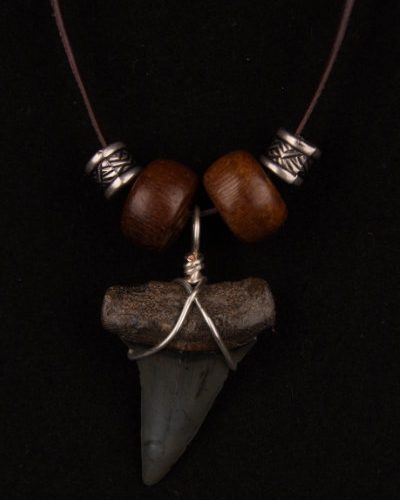 ST05.6-lbr42-wb162-dp862-necklace-megalodon-6523 Ocean Sands Jewelry : Necklace - Shark Tooth ST05.6-LBR42-M162-P862