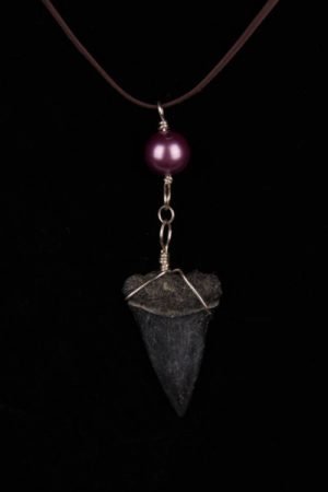 Ocean Sands Jewelry : Necklace - Shark Tooth ST06.0-LBR42-GBPU1