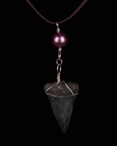ST06.0-LBR42-GBPU1-necklace-shark-tooth-6533 Ocean Sands Jewelry : Necklace - Shark Tooth ST06.0-LBR42-GBPU1