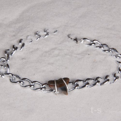 st-0.7-8810otcs-6400-jewelry-shark-tooth-bracelet Ocean Sands Jewelry : bracelets ST0.7-8CUR7