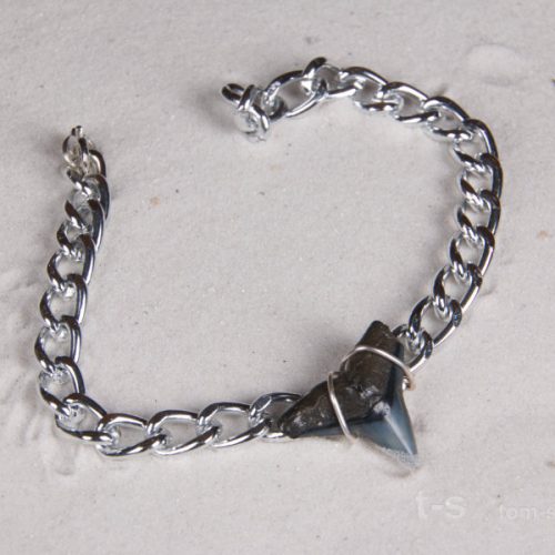 st01.1-8810ots-6398-jewelry-shark-tooth-bracelet Ocean Sands - Prehistoric shark tooth bracelet.