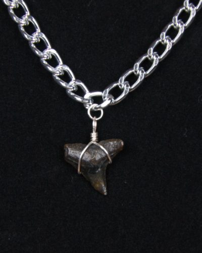 st01.8-7mmcurb8s-jewelry-bracelet-shark-tooth-6443 Ocean Sands Jewelry : bracelets ST01.8-CUR78S