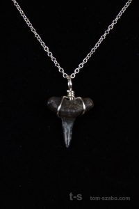 Ocean Sands Jewelry : Necklace - Shark Tooth ST2.3-GBR-18S