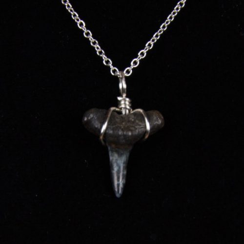 st2.3-18s-Necklace-Shark-Tooth-6390 Ocean Sands Jewelry : Necklace - Shark Tooth ST2.3-GBR-18S