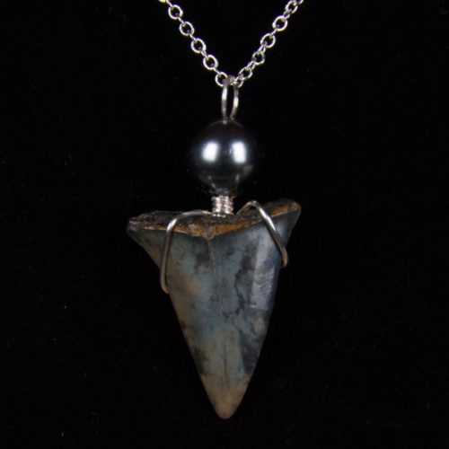 st3.6-gbhe-18s-Necklace-Shark-Tooth-6392 Ocean Sands Jewelry : Necklace - Shark Tooth ST3.6-GHE-18S